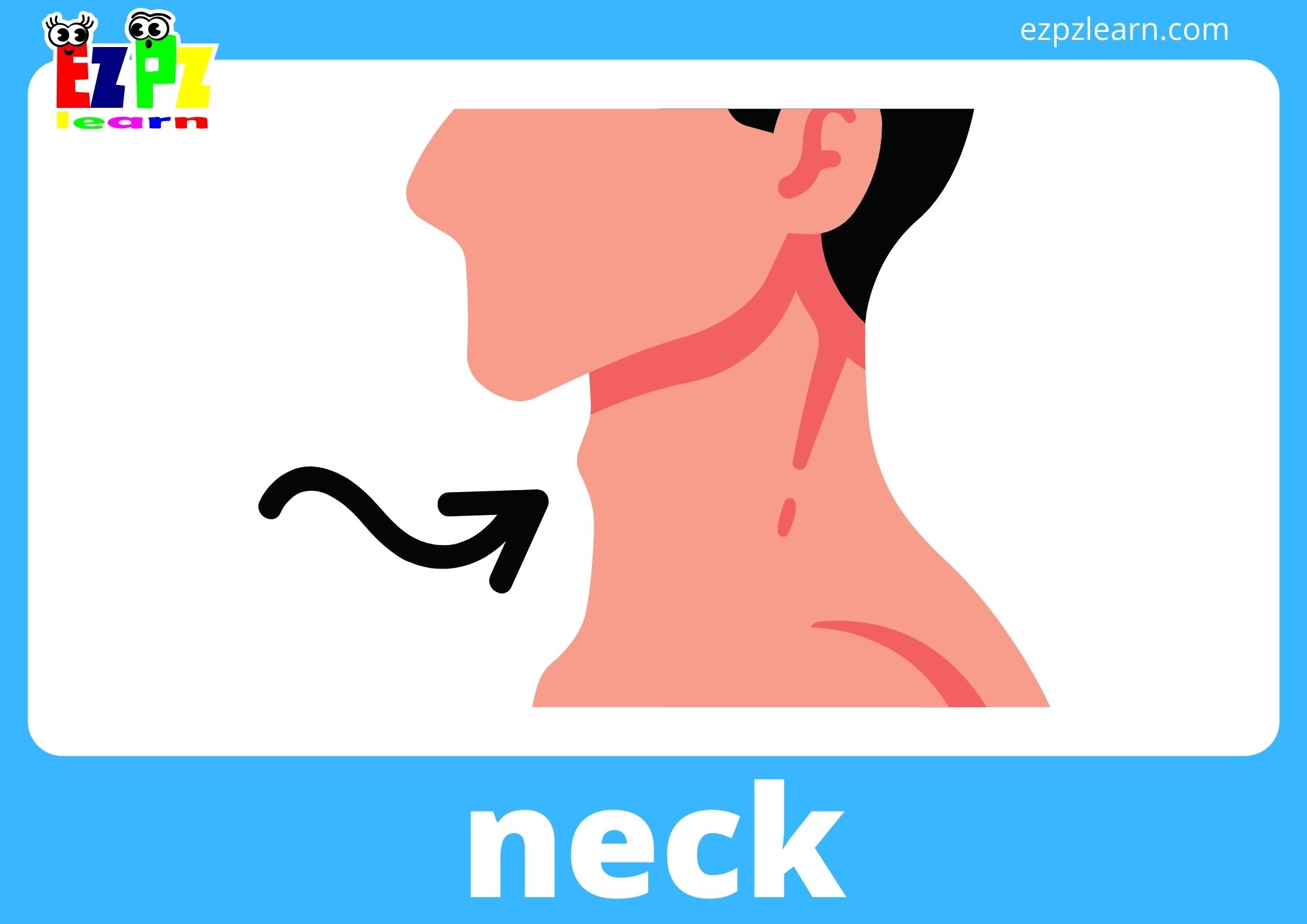 neck
